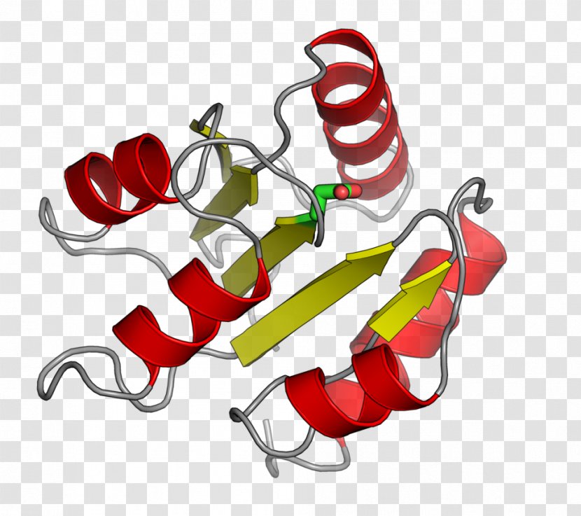 Response Regulator Histidine Kinase Two-component Regulatory System Phosphotransfer Domain Protein - Gene Transparent PNG
