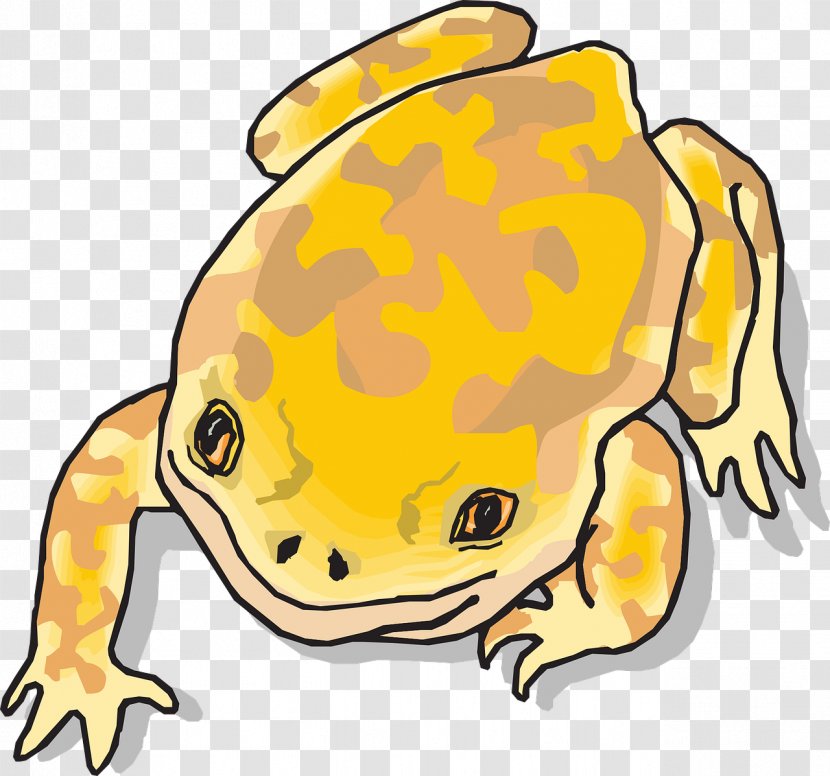 Southern Brown Tree Frog Poison Dart Yellow Clip Art - Fauna - Crawling Transparent PNG