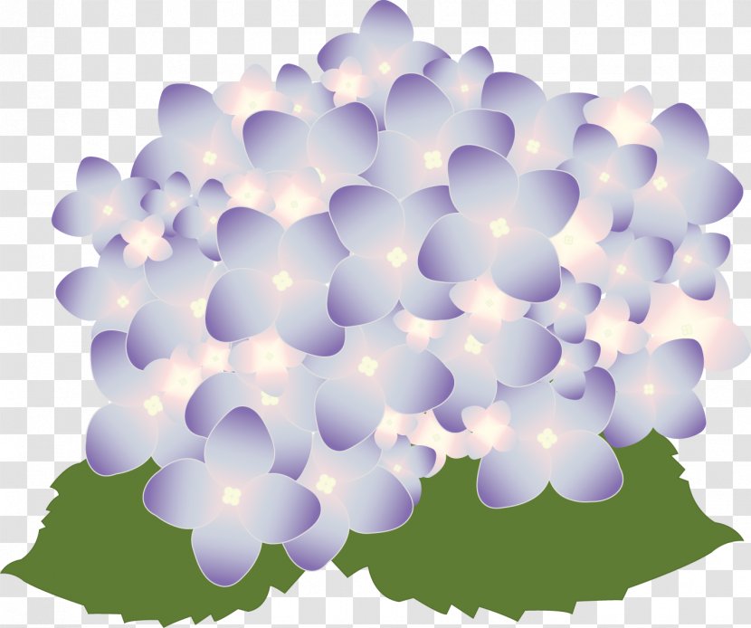 Flower Euclidean Vector - Spring - Lily Of The Valley Bloom Transparent PNG