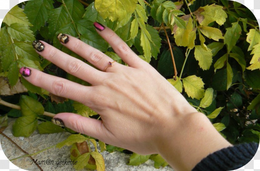 Leaf Vegetable Nail - Hand - Lolo Cati Transparent PNG