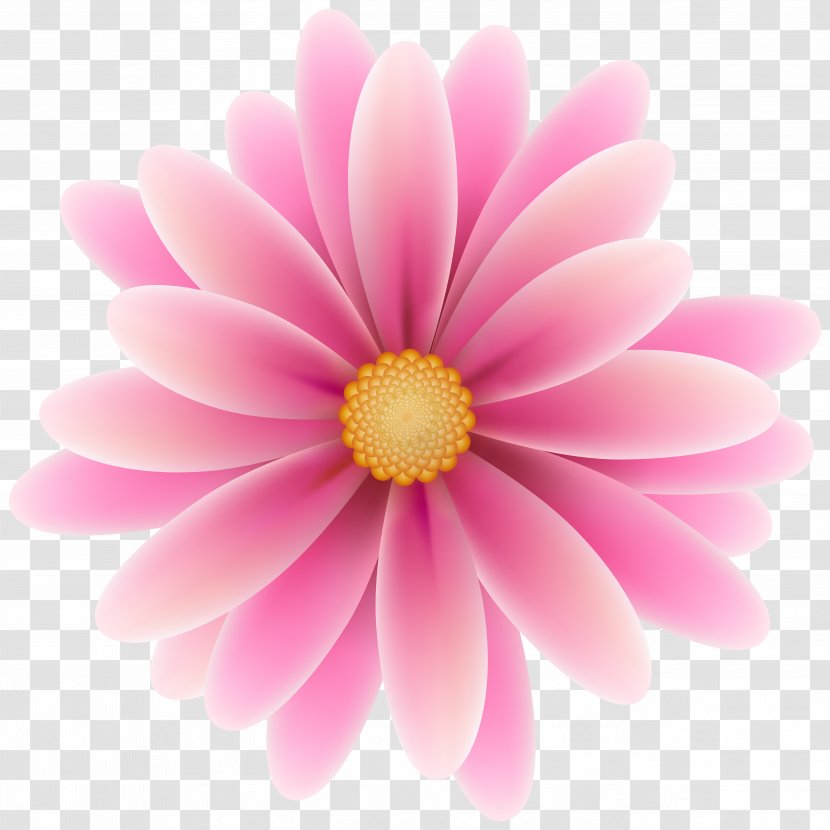 Pink Flowers Clip Art - Flower Transparent PNG