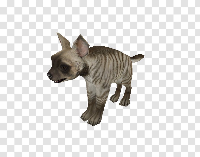 Sphynx Cat Donskoy Peterbald Whiskers Carnivora - Hyena Transparent PNG