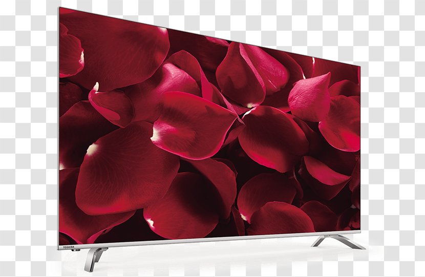 4K Resolution Ultra-high-definition Television Toshiba U6763DG Samsung KU6400 6 Series - Flower - Tivi Transparent PNG