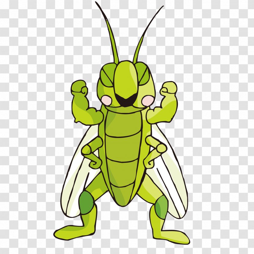 Insect Cartoon Illustration - Pest - Showing Off Muscles Cricket Transparent PNG