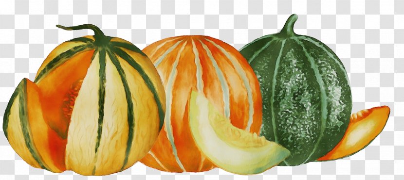 Orange - Watercolor - Cucumber Gourd And Melon Family Calabaza Transparent PNG