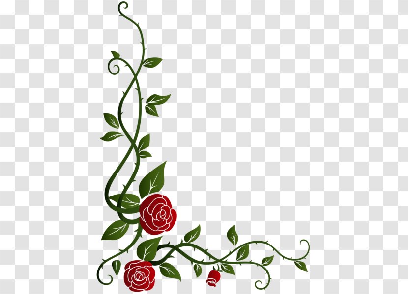 Garden Roses Floral Design Cut Flowers Clip Art - Flowering Plant - Rose Ornament Transparent PNG