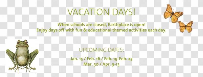 Earthplace Brujarella School Holiday Paper Email Transparent PNG