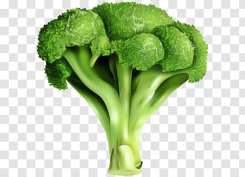 Cauliflower Transparent PNG