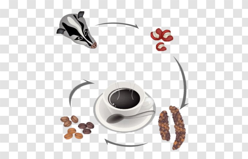 Iced Coffee Kopi Luwak Cafe - Tableware - Cat Feces Formation Drawing Transparent PNG