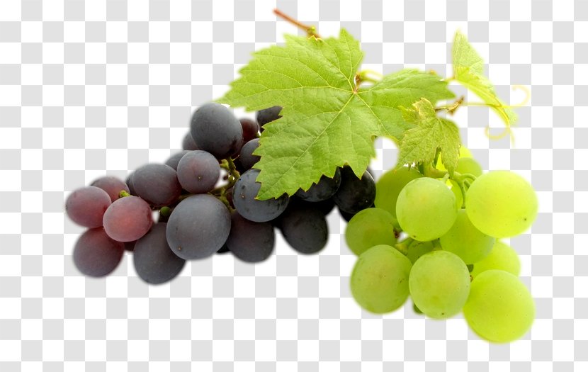 Kyoho Wine Grape Clip Art - Grapevine Family - Grapes Transparent PNG