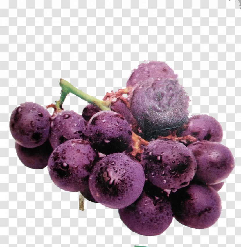 Grape Juice Fruit Purple - Raisin Transparent PNG