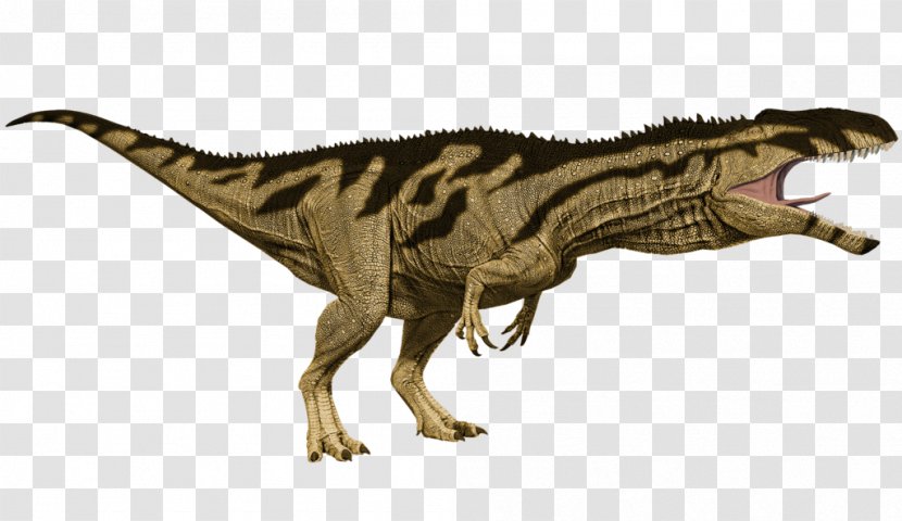 Tyrannosaurus Primal Carnage: Extinction Velociraptor Feather - Feathered Dinosaur Transparent PNG