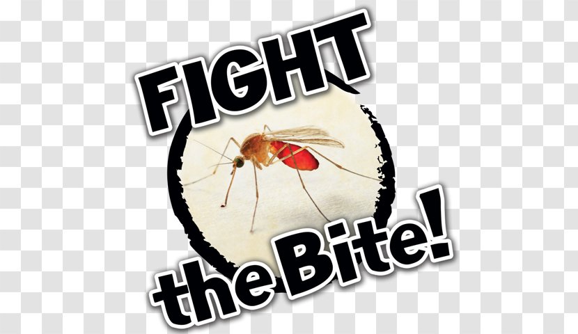 Mosquito-Borne Illnesses Image Poster Insect Bites And Stings - Animal Bite - Natives Fight Win Transparent PNG