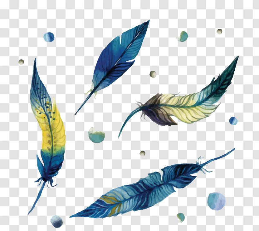 Feather Euclidean Vector - Wing Transparent PNG