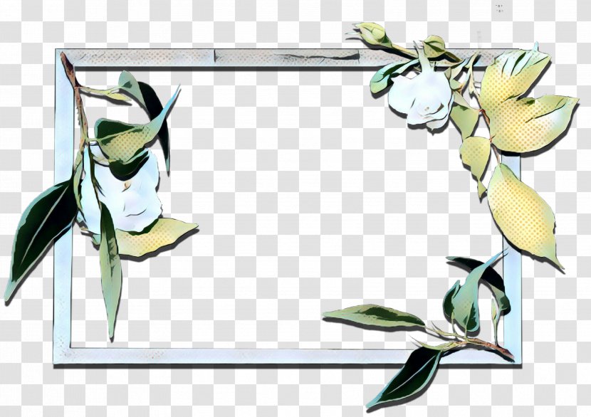 Picture Frame - Rectangle - Bird Transparent PNG