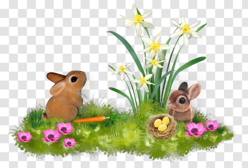 Domestic Rabbit Hare Flora Fauna Meadow - Easter Transparent PNG