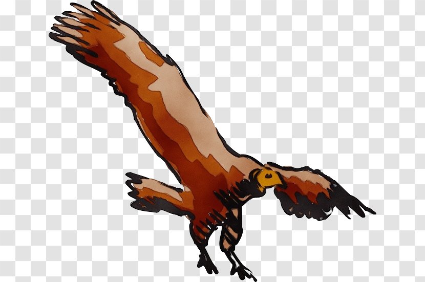 Golden Eagle Bird Of Prey Clip Art Hawk - Claw Transparent PNG