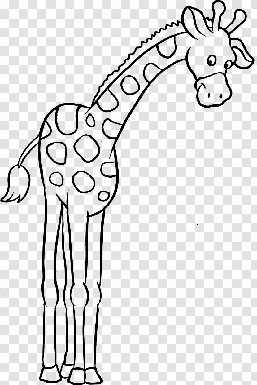 Coloring Book Child Clip Art - Monochrome - Giraffe Transparent PNG