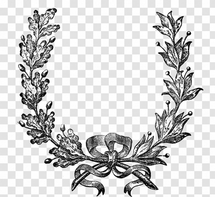 Wreath Clip Art - Tree - Engraving Transparent PNG