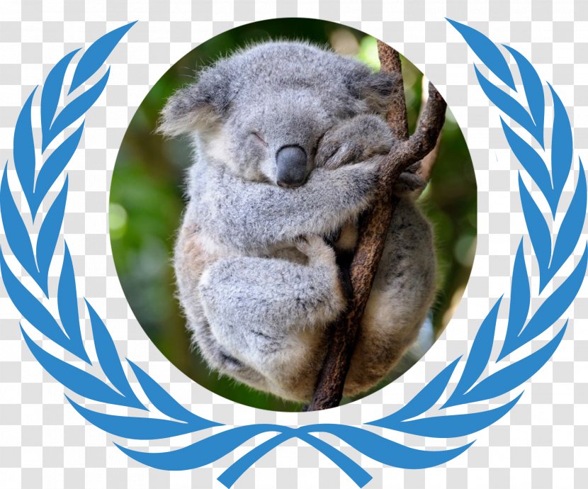 Model United Nations Flag Of The Harvard International Relations Council Organization - Koala Transparent PNG