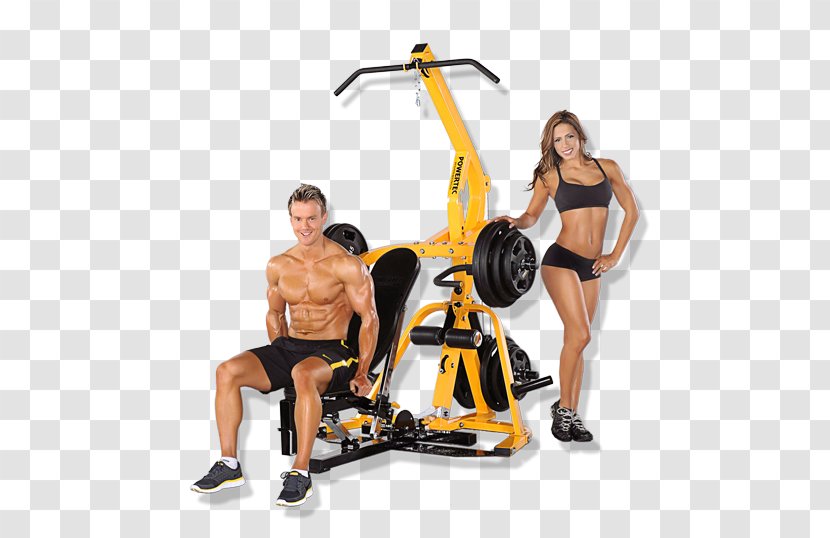 Weight Training Exercise Equipment Physical Fitness Centre - Watercolor - Bodybuilding Transparent PNG