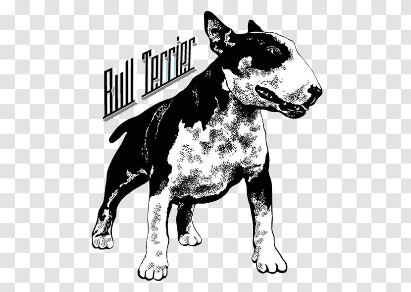 Bull Terrier T-shirt Hoodie Sleeve Clothing - Fashion - Printed Dog Vector Transparent PNG