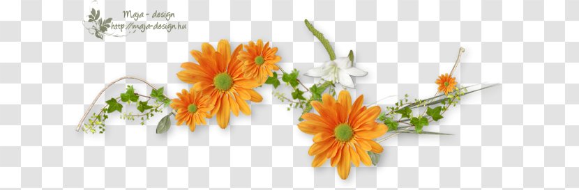 Flower Orange Color - Text - Floral Design Transparent PNG