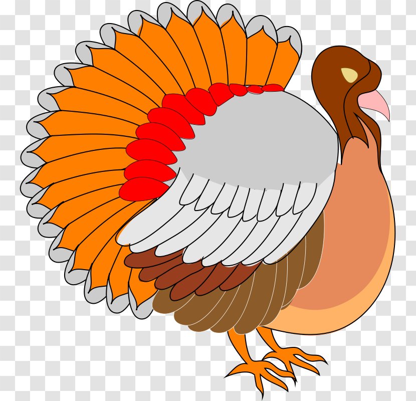 Clip Art Turkey Meat Bird Stuffing - Chicken Transparent PNG