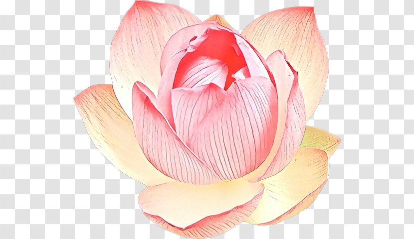 Pink M - Flowering Plant - Bud Transparent PNG