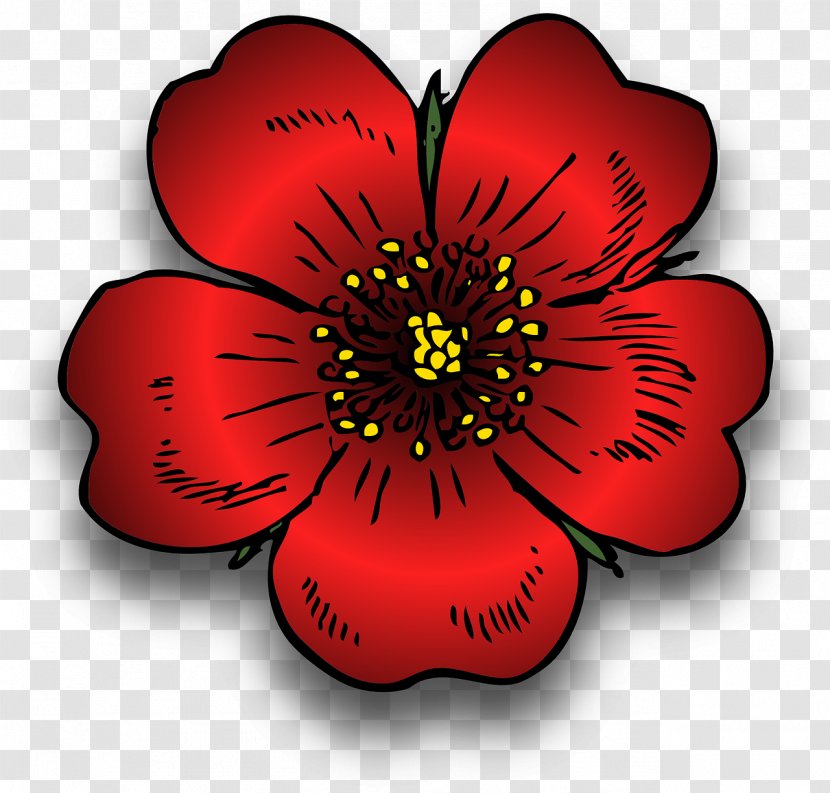 Clip Art - Flowering Plant - Campfire Transparent PNG