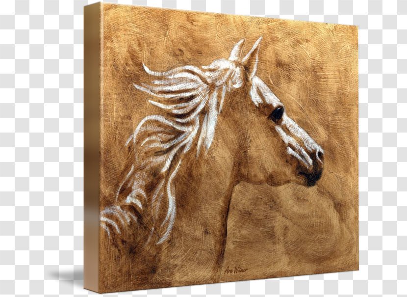 Arabian Horse Mustang Mane Gallery Wrap Canvas - Fauna Transparent PNG