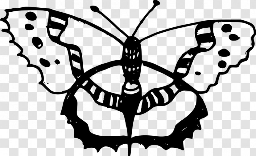 Monarch Butterfly Drawing Clip Art Image - Photography - Outline Transparent PNG