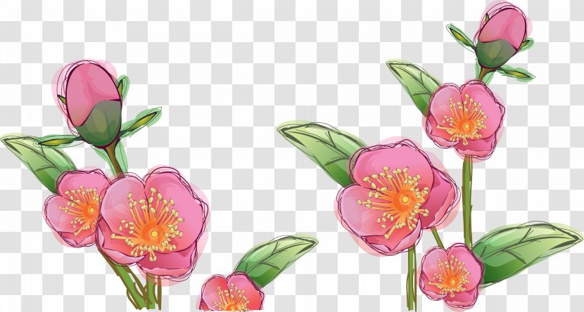 Drawing Flower - Watercolor Painting - Flowers Transparent PNG