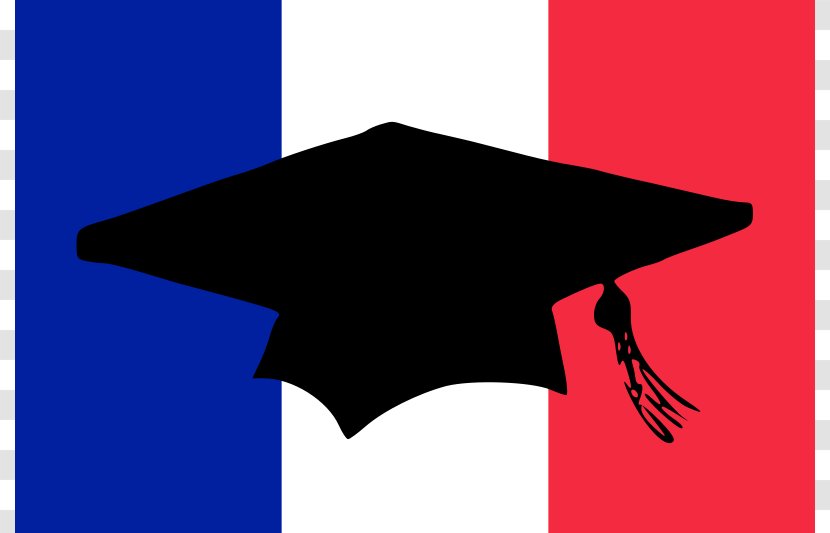 AUCP Study Abroad University French Education Academic Degree - Icon Download Transparent PNG