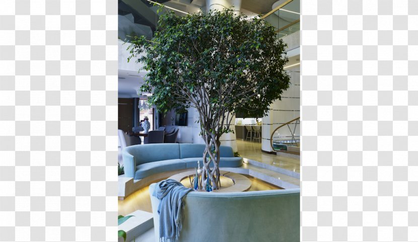 Property Tree Furniture Houseplant Transparent PNG
