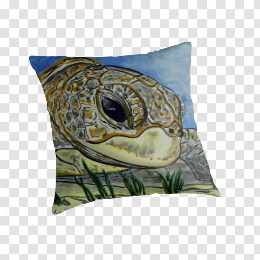 Turtle Throw Pillows Cushion Transparent PNG