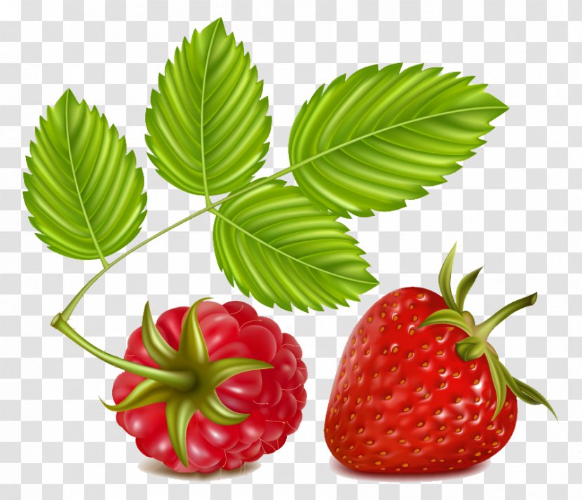 Strawberry Raspberry Clip Art - Fruit - Cartoon Picture Material Transparent PNG