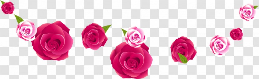 Garden Roses Pink - Rose Order - Flower Border Transparent PNG