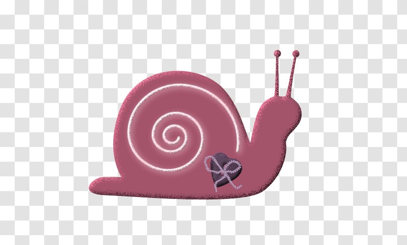 Snail Icon - Frame - Pink Transparent PNG