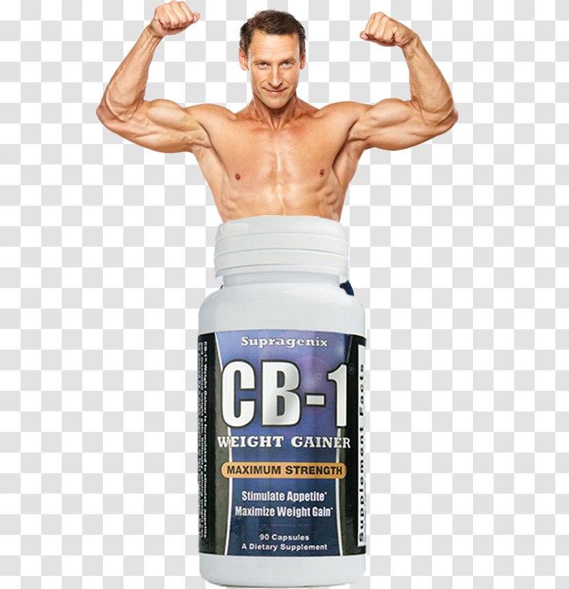 Dietary Supplement Muscle Hypertrophy Bodybuilding Weight Gain Transparent PNG
