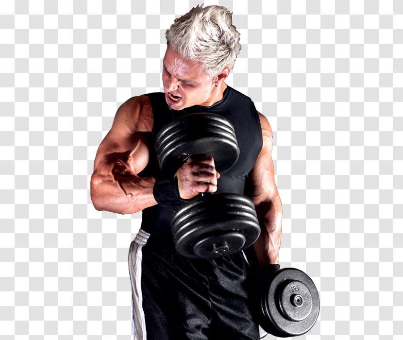 Weight Training Personal Trainer Physical Fitness Holdall Centre - Tree - Steve Kuclo Transparent PNG