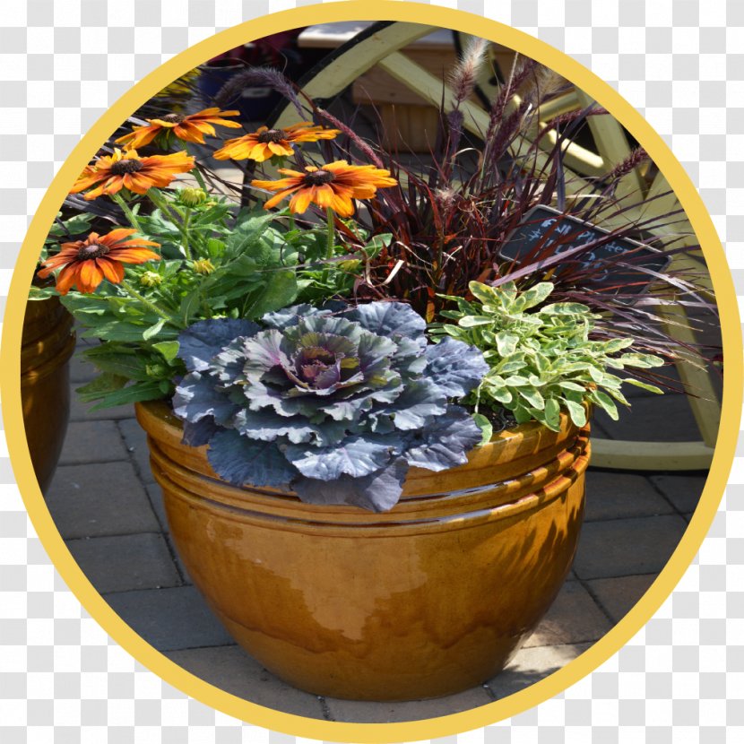 Country Garden Shed Flowerpot Ceramic - Container Transparent PNG