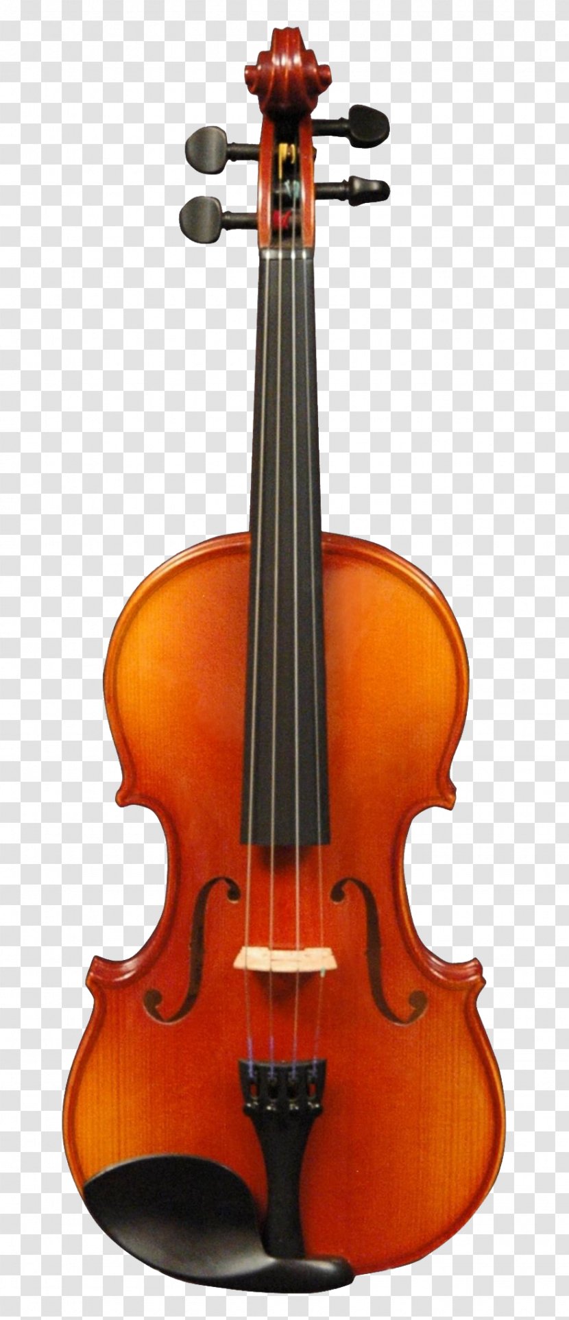 String Instrument Musical Viola Violin - Bass Tololoche Transparent PNG