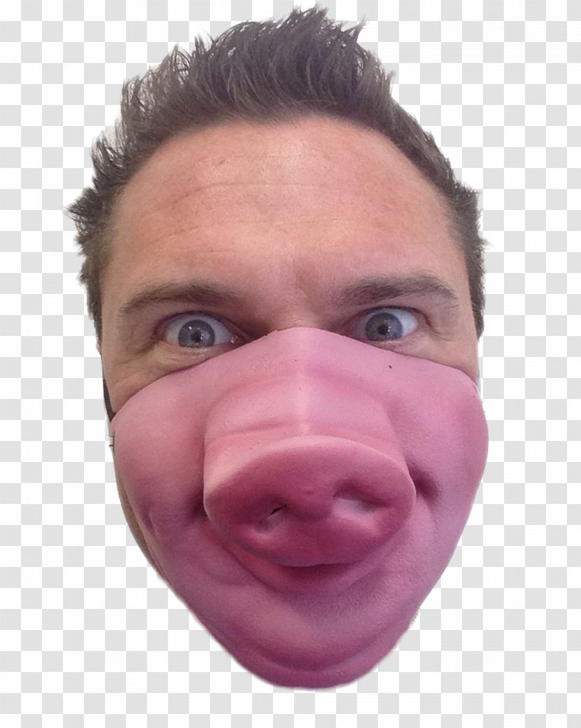 Snout Pig Mask Costume Party - Jaw - Nose Transparent PNG