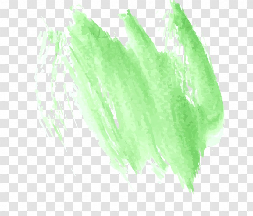 Green Leaf Font - Ink, Watercolor Clouds Transparent PNG