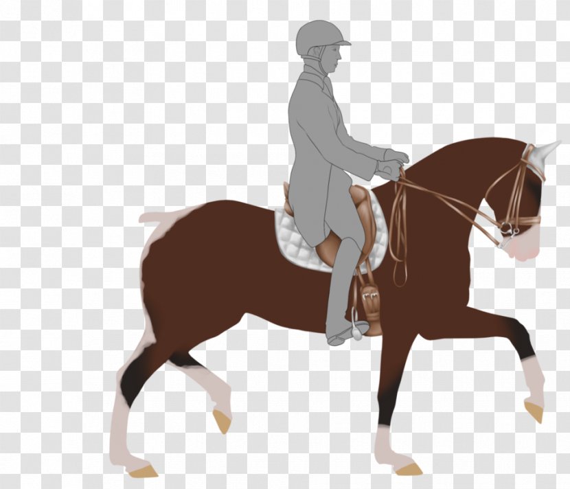 Stallion English Riding Rein Bridle Mustang - Saddle Transparent PNG