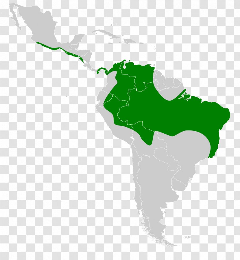 Latin America United States Caribbean South Southern Cone Central - Americas Transparent PNG