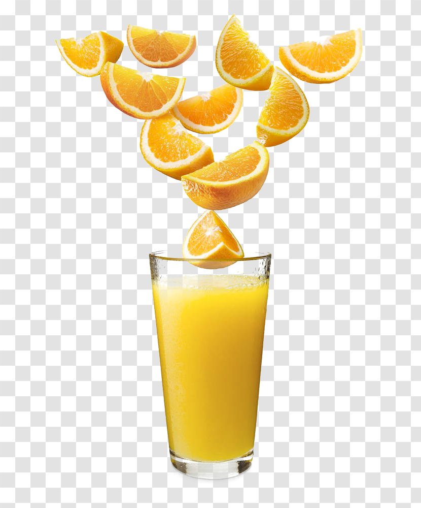 Orange Juice Fuzzy Navel Drink Non-alcoholic Transparent PNG