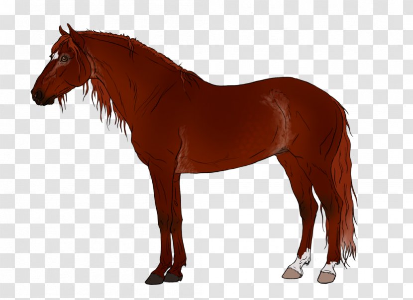 Thoroughbred Mare Pony Arabian Horse Stock Illustration - Drawing - Avaricious Pattern Transparent PNG