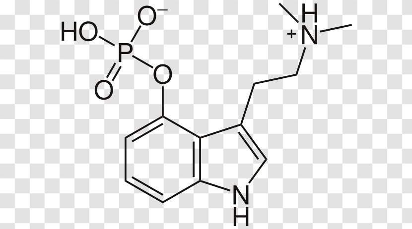 Psilocybin Mushroom Psychedelic Drug Molecule Hallucinogen - Tree - History Of Lysergic Acid Diethylamide Transparent PNG